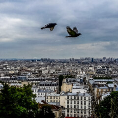 Montmartre Walking Tour (The Wayward Post)